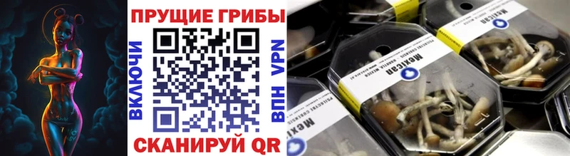 Псилоцибиновые грибы прущие грибы Ангарск