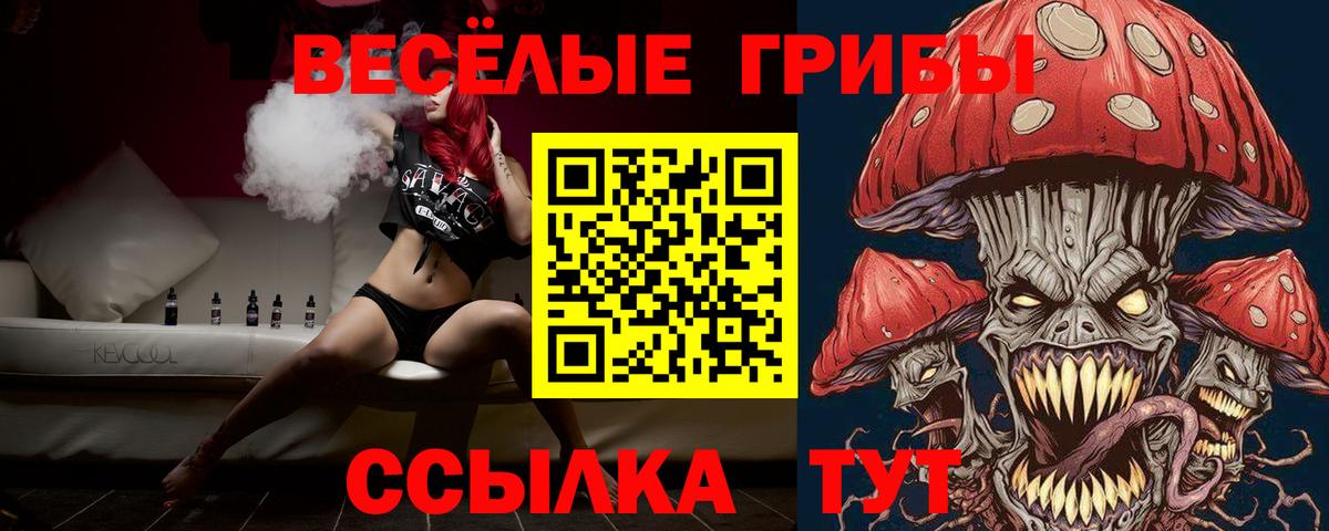 где купить наркоту  Ангарск  Псилоцибиновые грибы ЛСД 